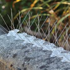 Anti-Pigeon Bird Spikes installed in a Bengaluru home